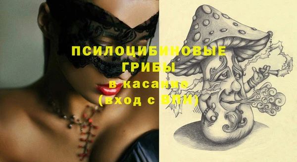 спиды Алексеевка
