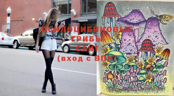 марки lsd Абаза